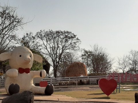 27. ฟาร์มแกะฮักยู