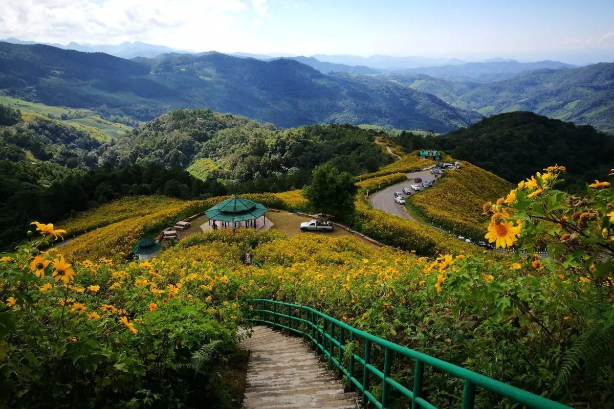 ทุ่งดอกบัวตอง