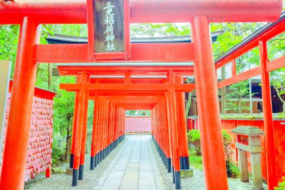 20 วัดในโอซาก้า 2569 พิกัดสายมูยอดฮิต ขอพรแม่น ถ่ายรูปสวย เดินทางง่าย | Trip.com