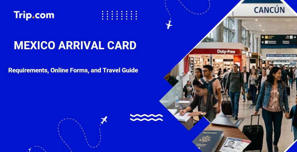 Mexico Arrival Card