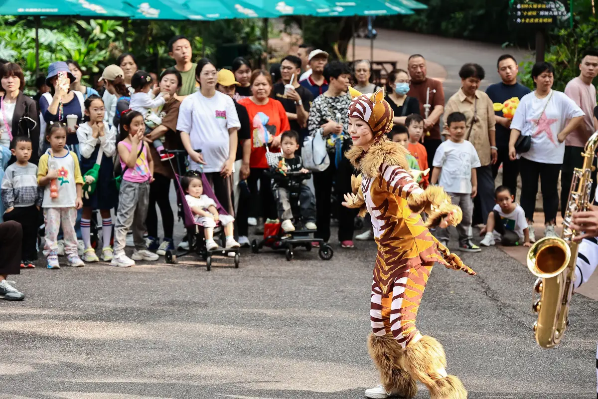 廣州長隆動物園, 表演