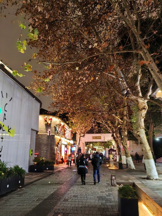 清河坊街夜景