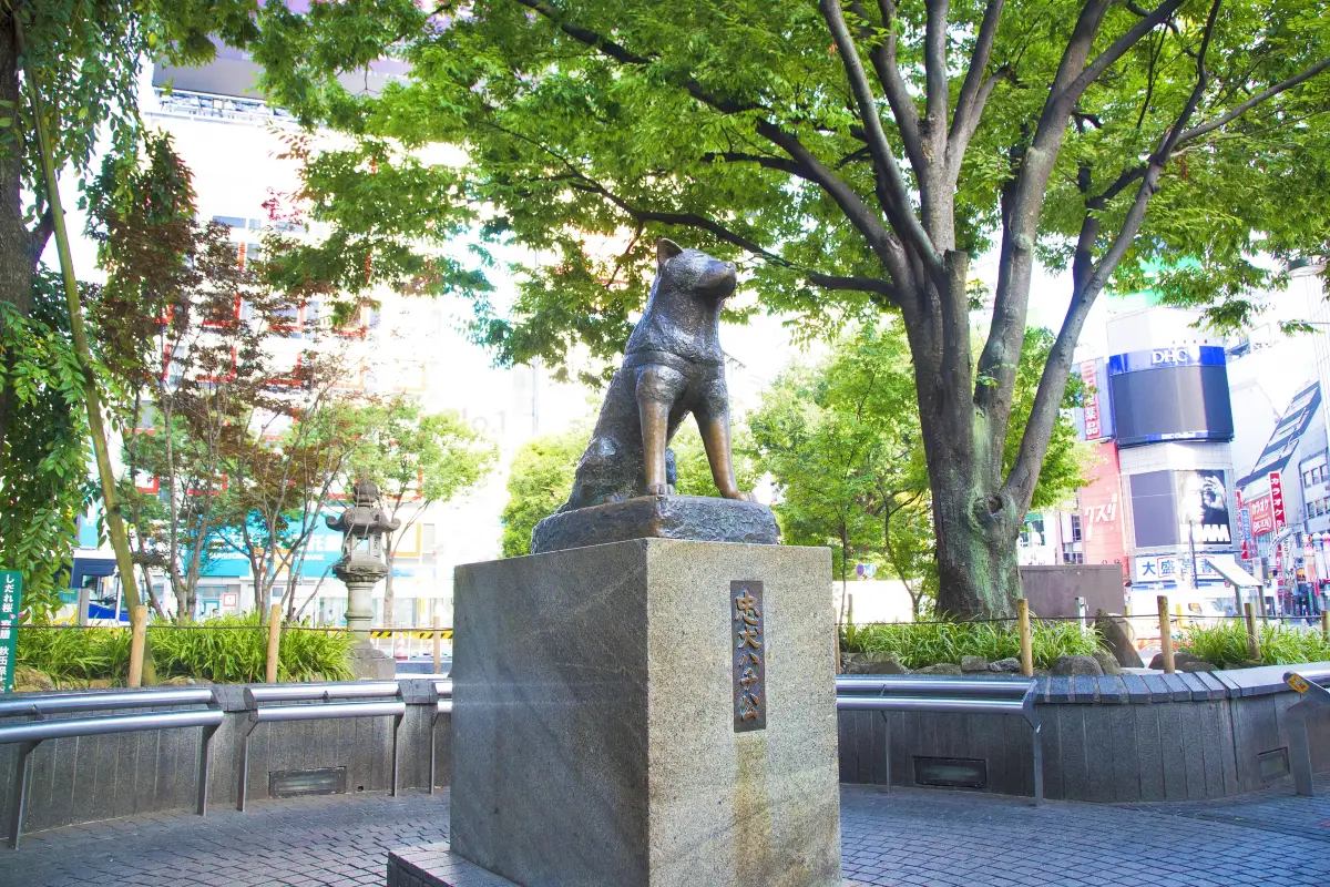 澀谷景點 #13 忠犬八公像