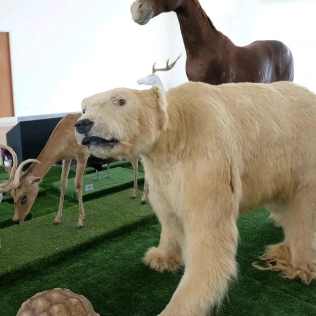 พิพิธภัณฑ์ธรรมชาติวิทยา ม.ขอนแก่น