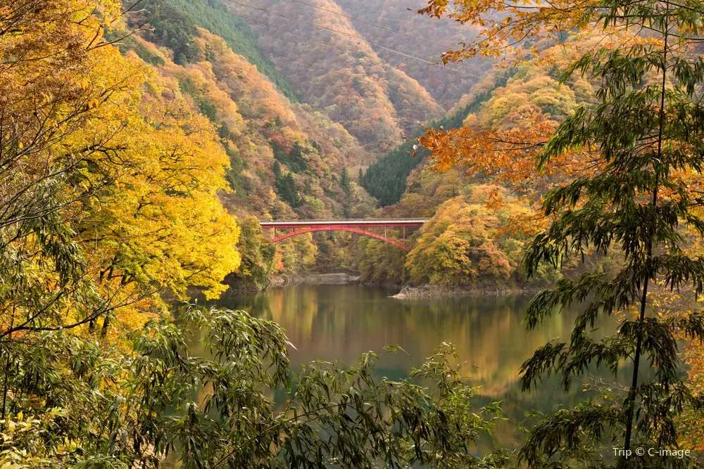 奧多摩湖