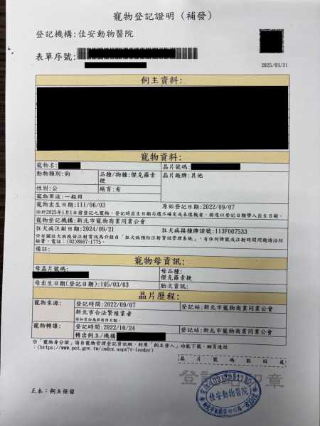 Documents and ID Requirements for Traveling with Pets