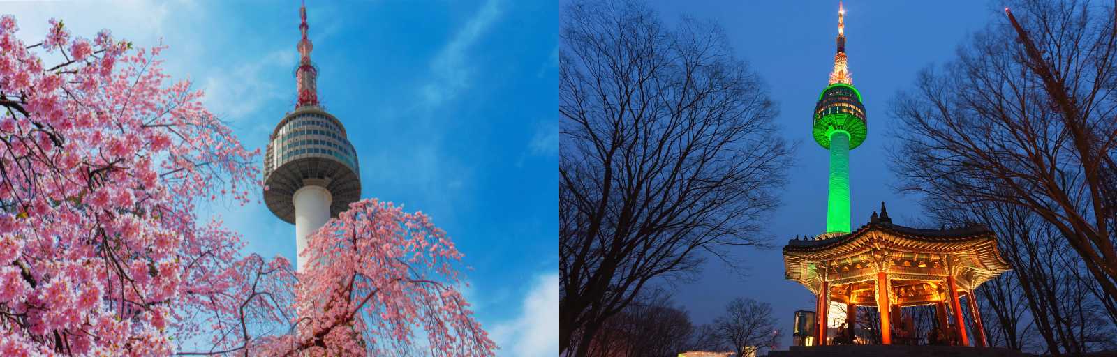 La N Seoul Tower en primavera entre cerezos rosados junto a una vista nocturna de la torre iluminada en verde desde el pabellón tradicional de Namsan