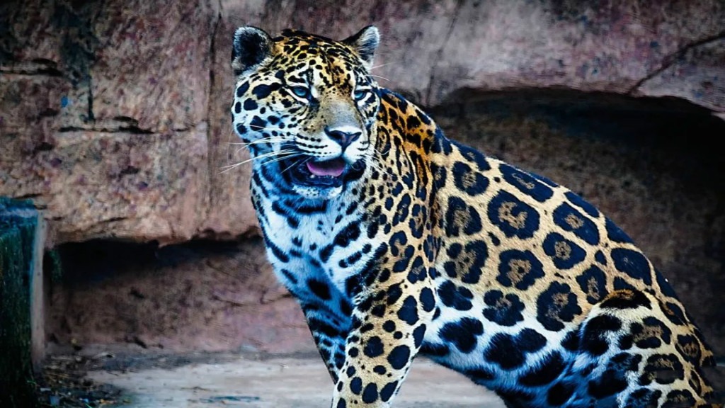 長沙生態動物園