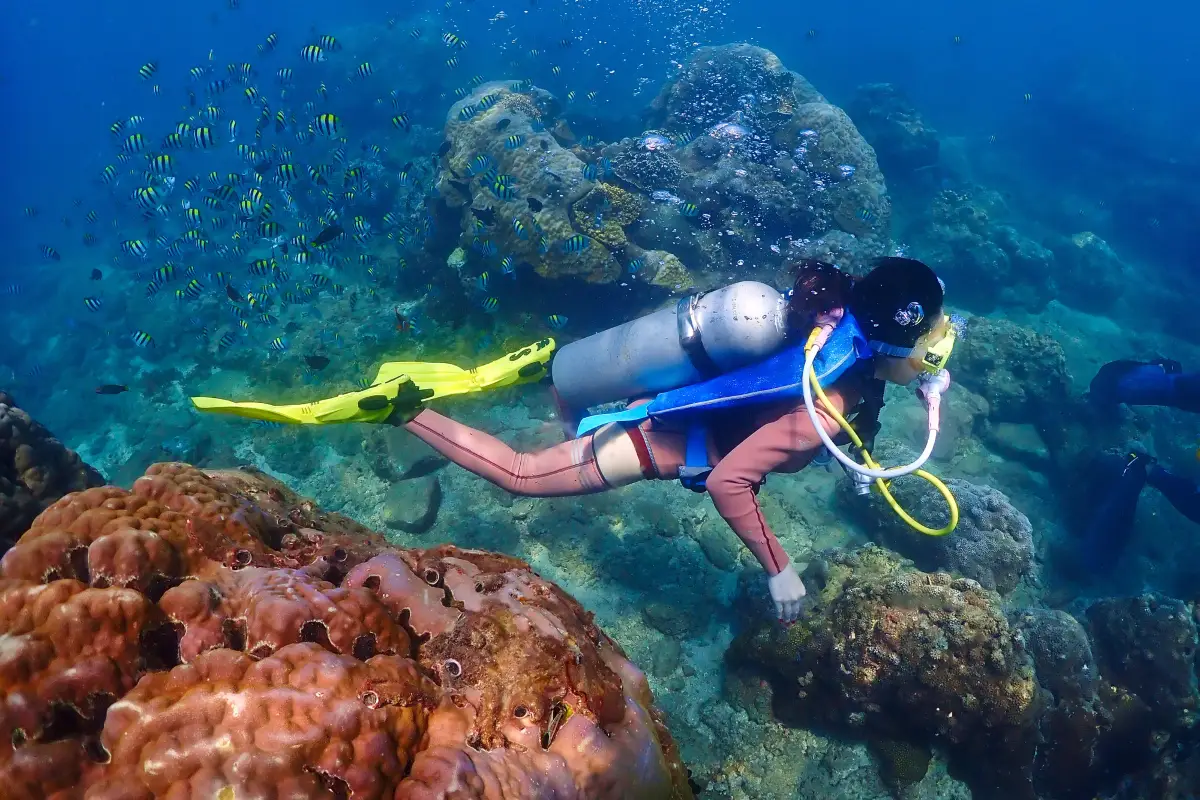 三亞潛水, 亞龍灣