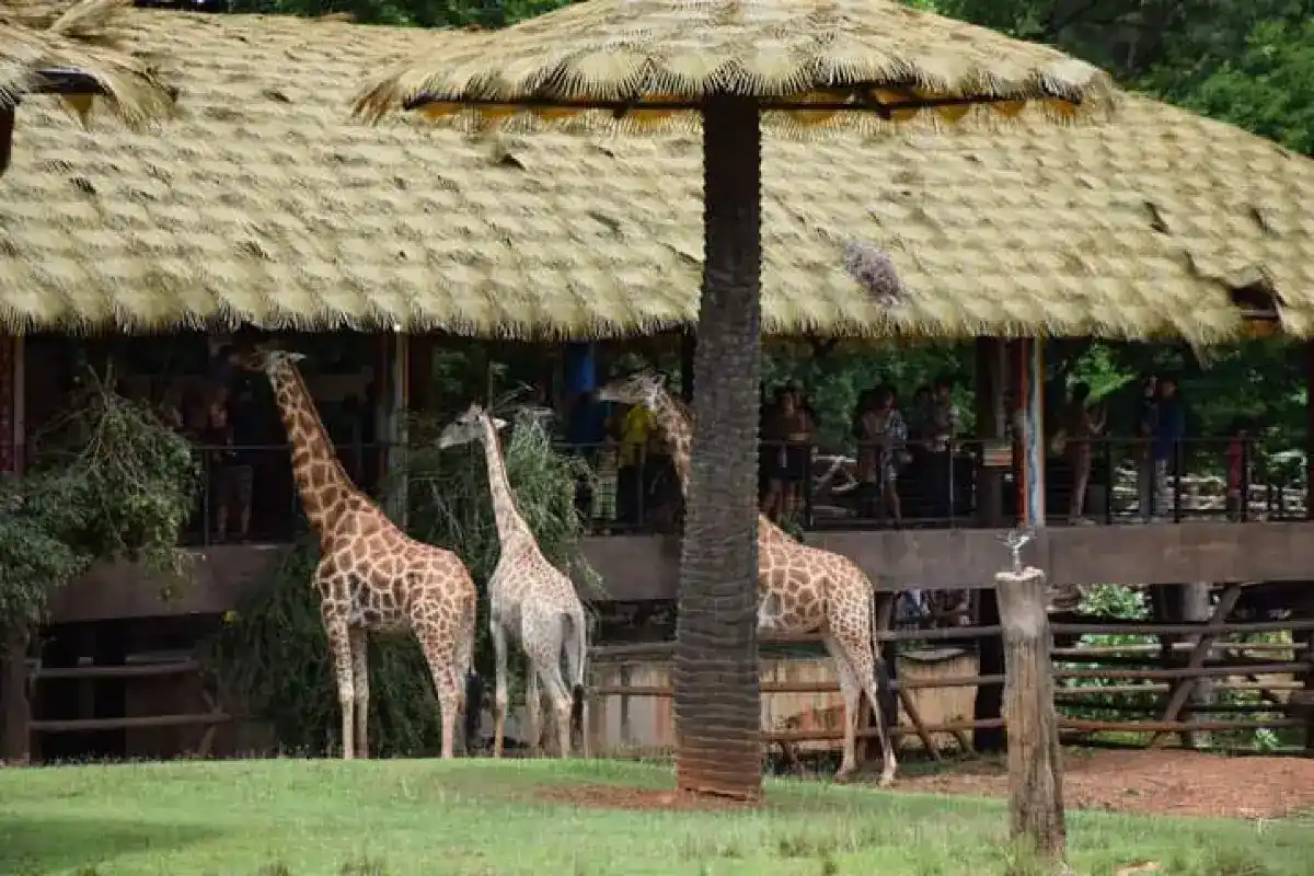 สวนสัตว์นครราชสีมา