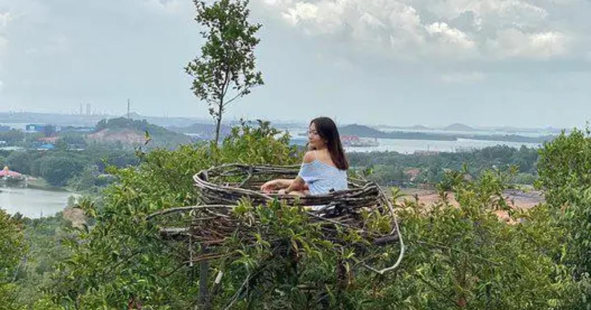 bird nest at Tebing Langit