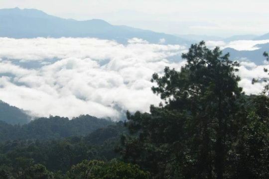 25 ที่เที่ยวปาย 2569 เที่ยวปายแบบปัง ๆ จุดเช็กอินชื่อดังที่ห้ามพลาด | Trip.com