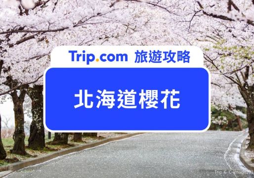 2026 北海道櫻花預測持續更新中！10 大北海道賞櫻景點攻略 | Trip.com