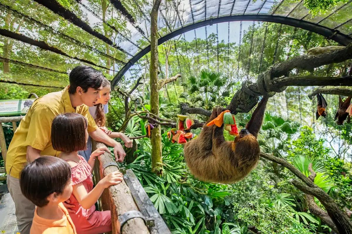 新加坡景點 #21 新加坡動物園