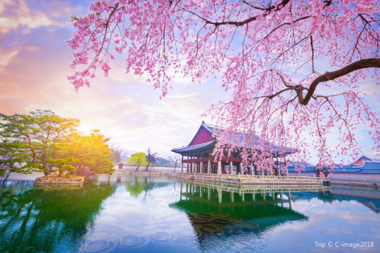 view at Gyeongbokgung Palace