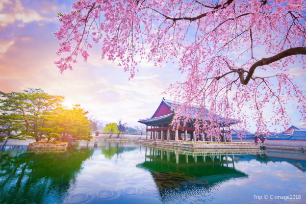 view at Gyeongbokgung Palace