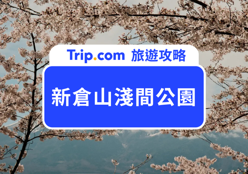 新倉山淺間公園