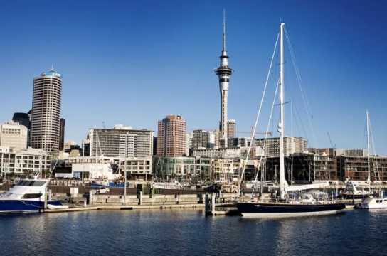 해외여행 약반입 뉴질랜드