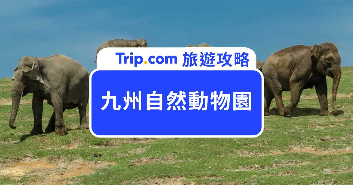 【2026 九州自然動物園】門票價格、交通、園區亮點、住宿＆一日遊攻略 | Trip.com