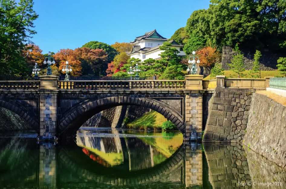 부모님과 도쿄 가족여행