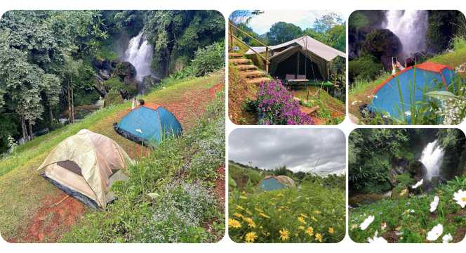 แดนสงบฟาร์ม - ลานกางเต็นท์ดอยอินทนนท์