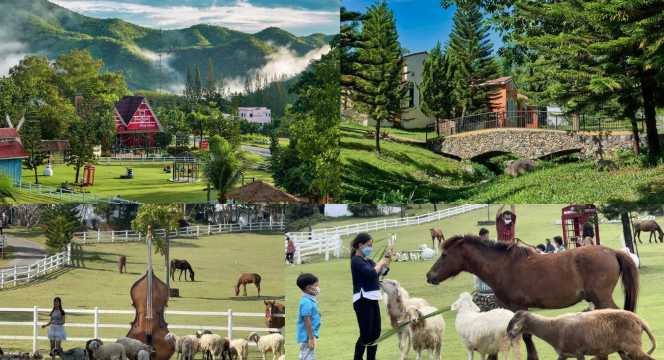 Royal Good View - ที่เที่ยวสวนผึ้ง