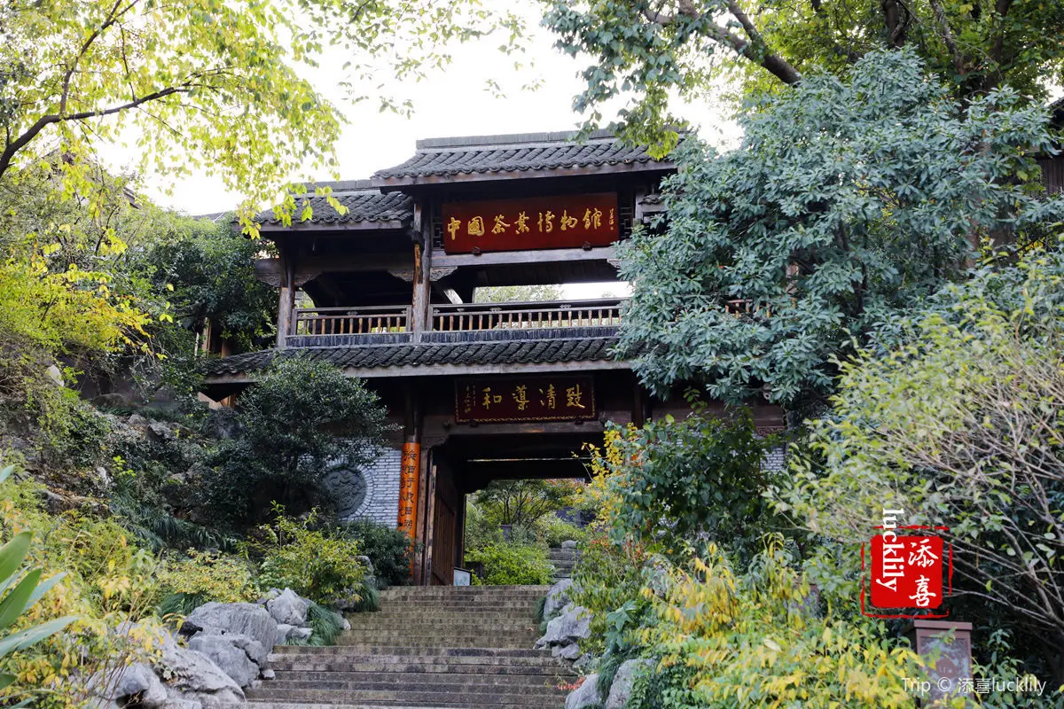 พิพิธภัณฑ์ชาจีน