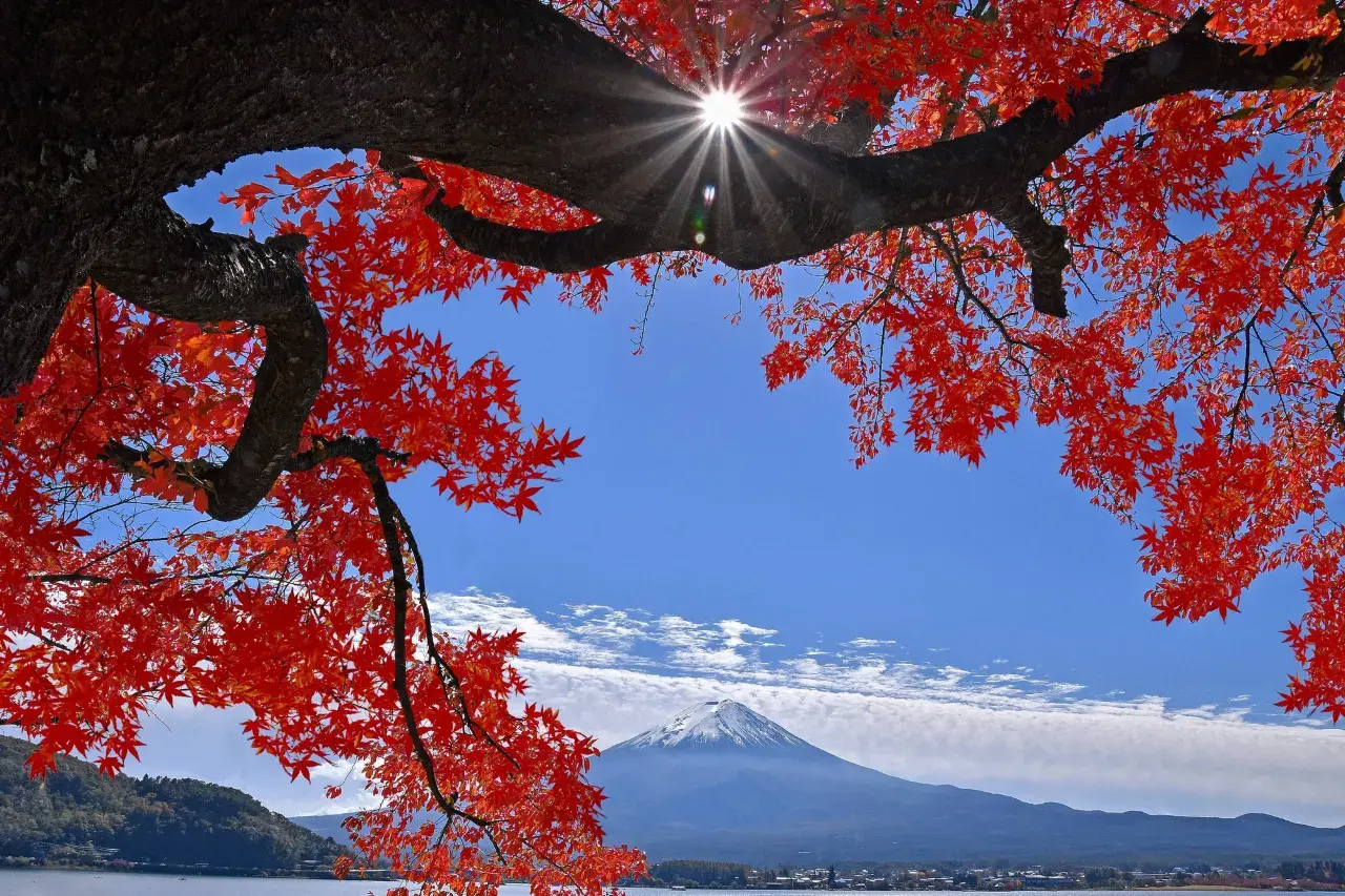 河口湖
