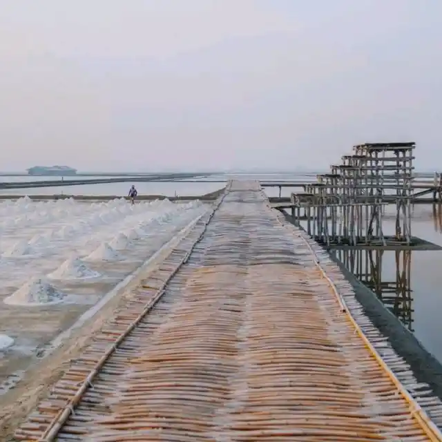 โรงเรียนนาเกลือ