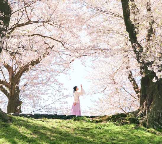 3월 축제 오사카