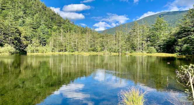 บึงเมียวจิน