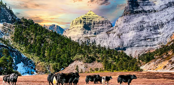 香港去雲南, 景點, 巴拉格宗風景名勝區