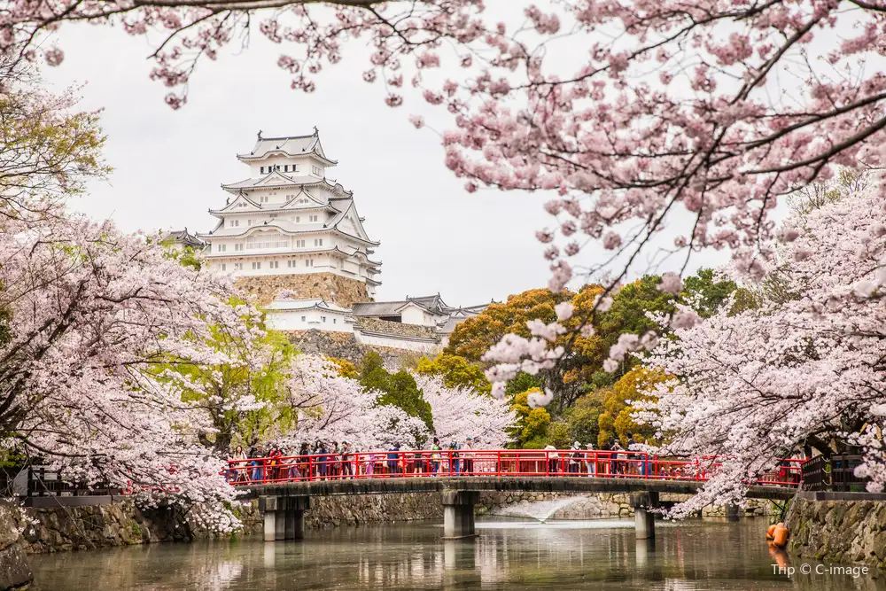 บัตรโดยสารคันไซ (Kansai Railway Pass) คุ้มไหม? รีวิวครบ ราคา วิธีใช้ และซื้อที่ไหน | Trip.com
