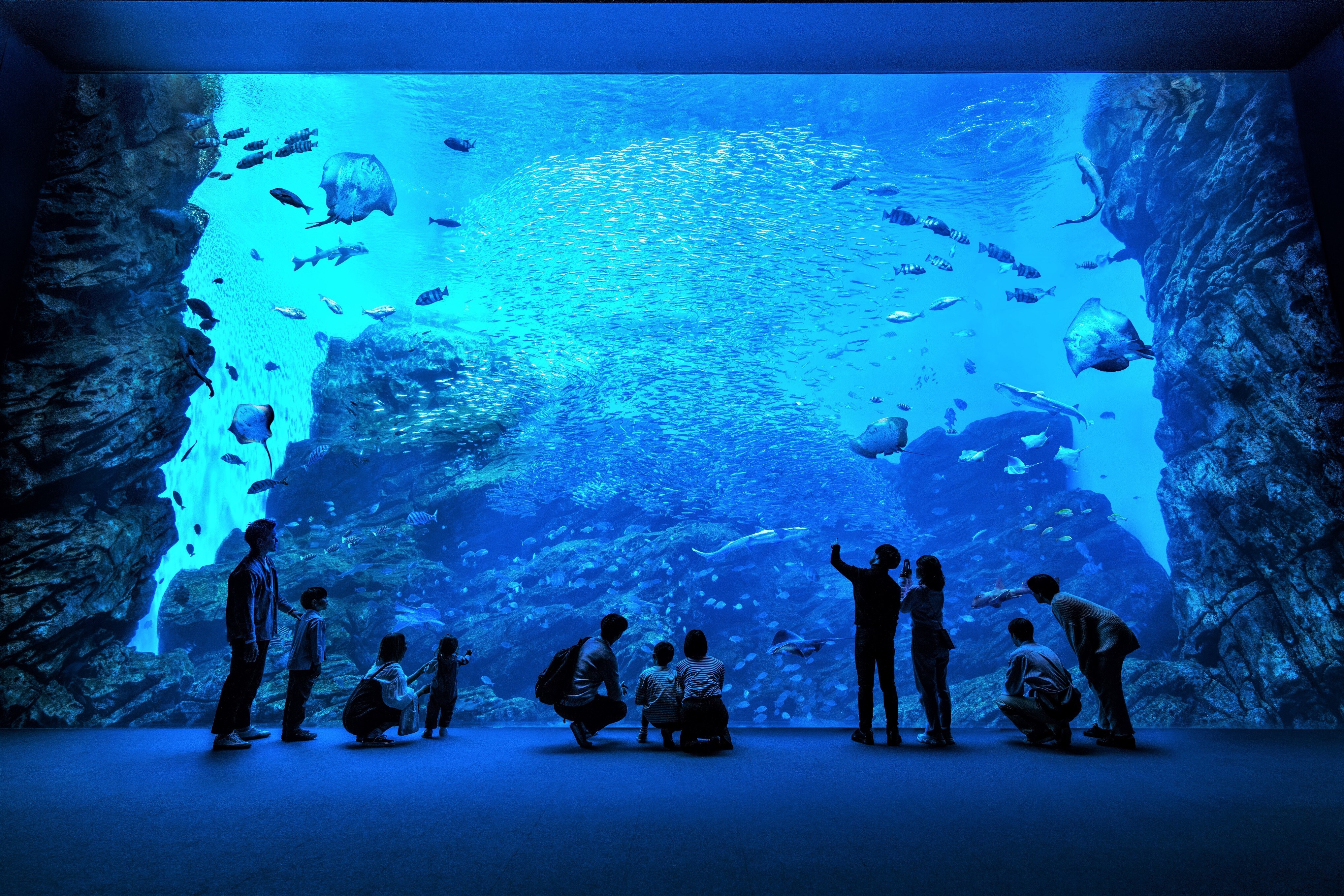仙台海洋森林水族館