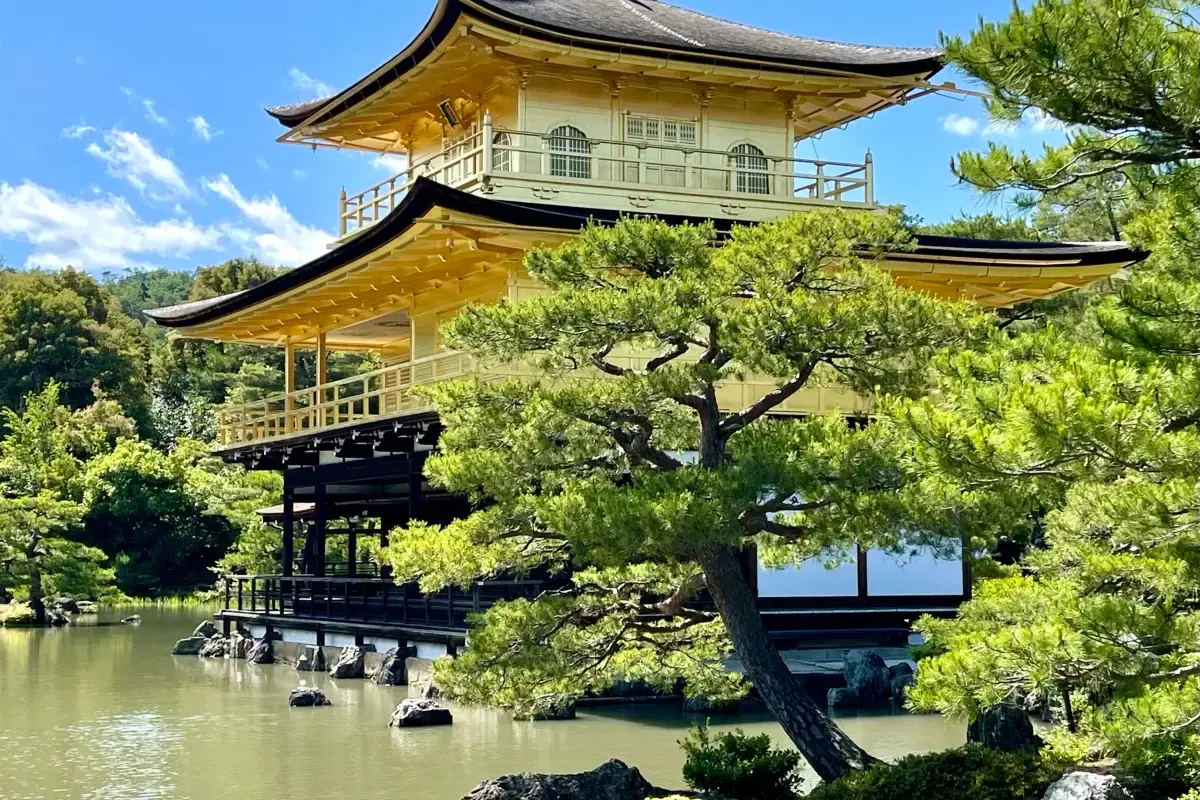 at Kinkaku-ji in spring
