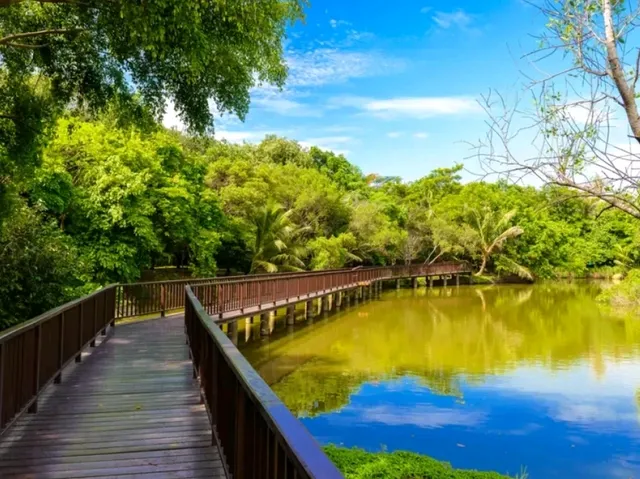 Green Serenity at Bang Krachao