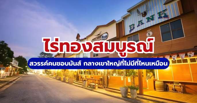 รีวิวไร่ทองสมบูรณ์ 2569: กิจกรรม ราคา ที่พัก อัปเดตล่าสุด! | Trip.com
