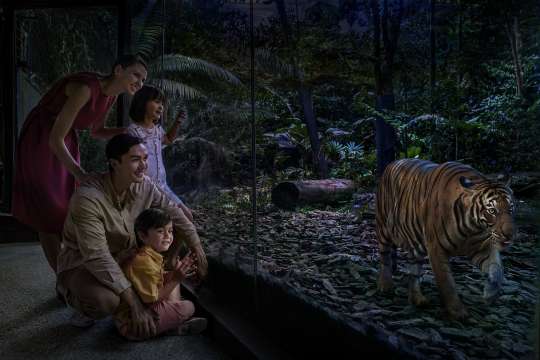 ไนท์ ซาฟารี (Night Safari)