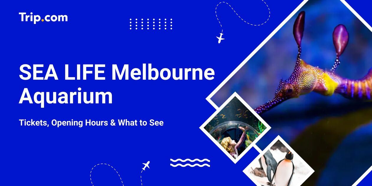 SEA LIFE Melbourne Aquarium: Tickets, Opening Hours & What to See | Trip.com