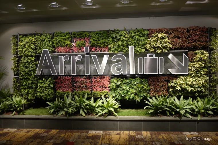 arrival at Singapore airport