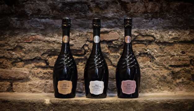 바르셀로나 와이너리 투어 와인