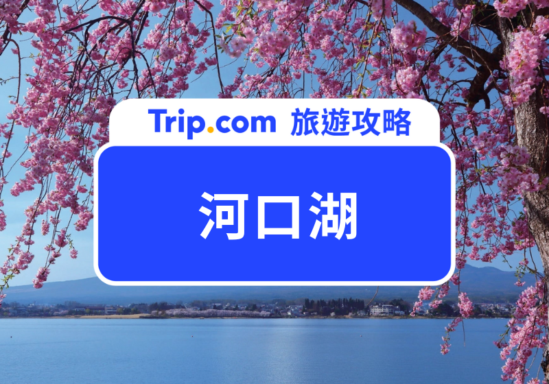 河口湖 | 主圖