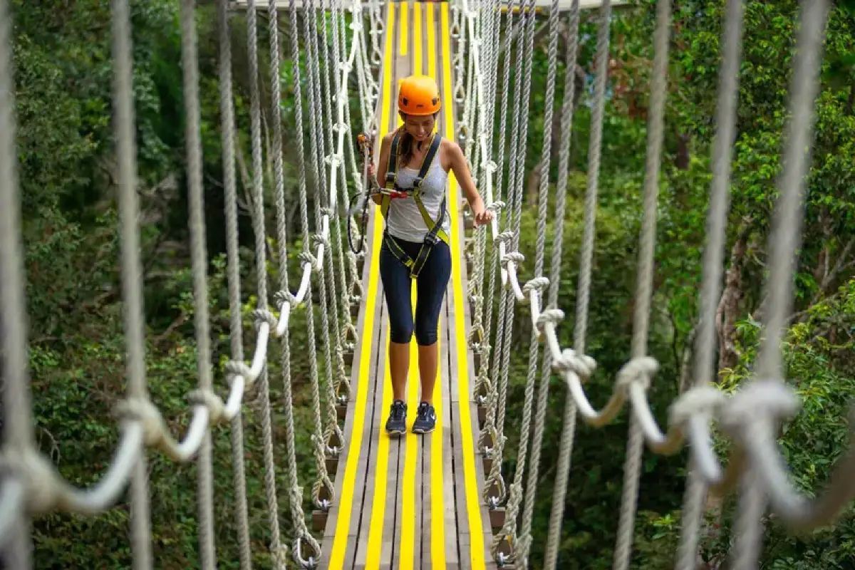 Canopy Walk