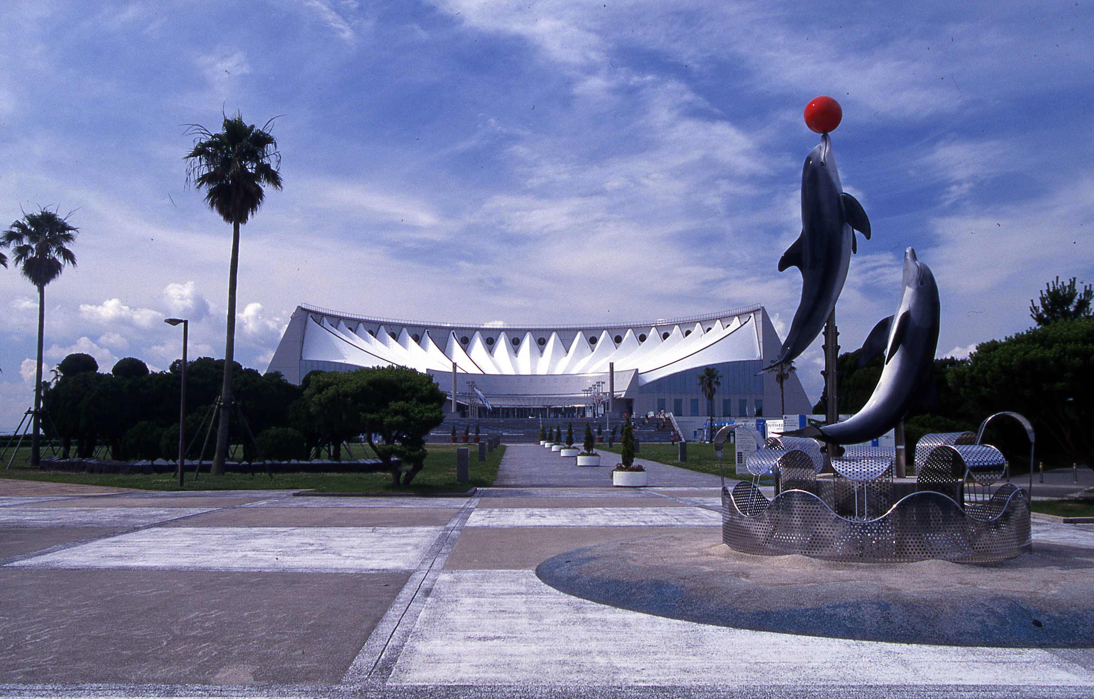 九州最大水族館，親子共賞夢幻海洋世界