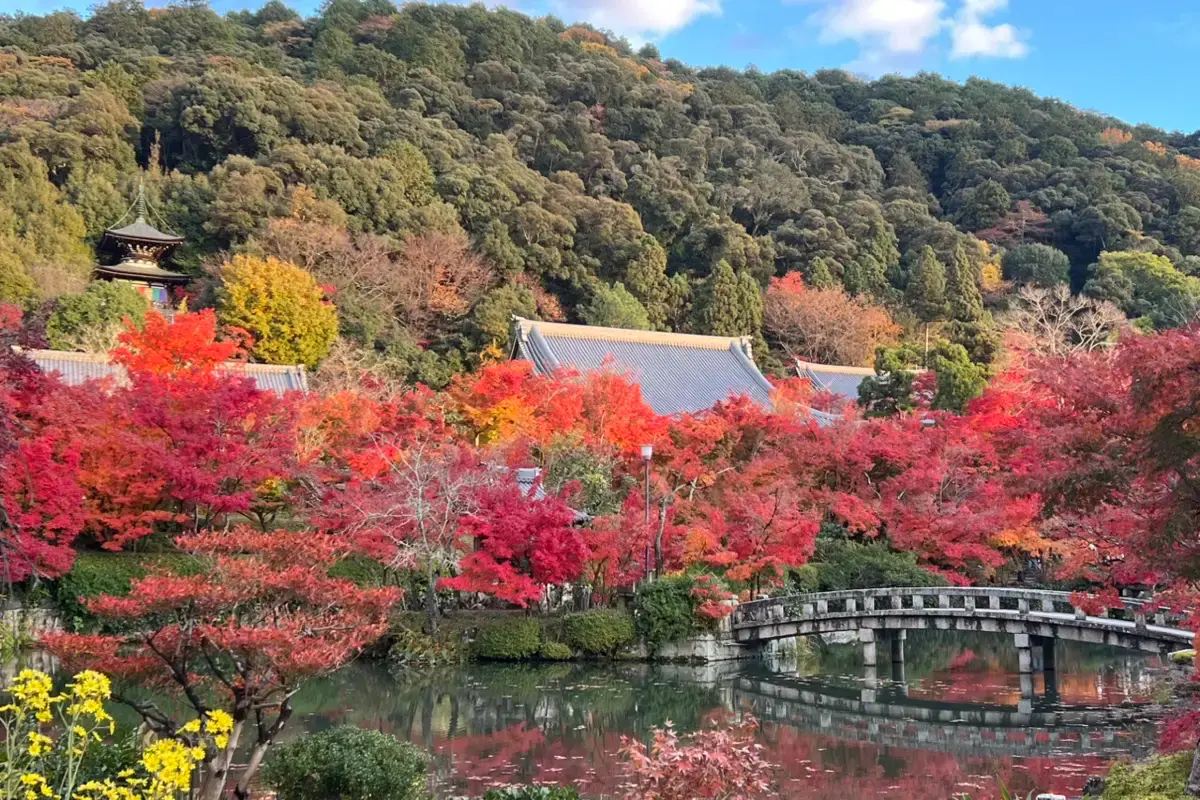 貴船神社