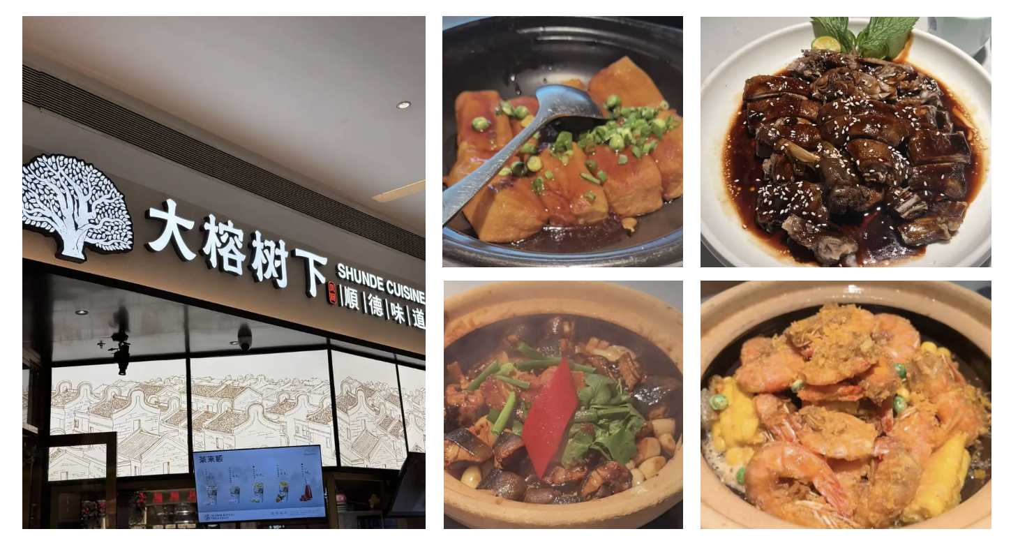 大榕樹下順德菜 