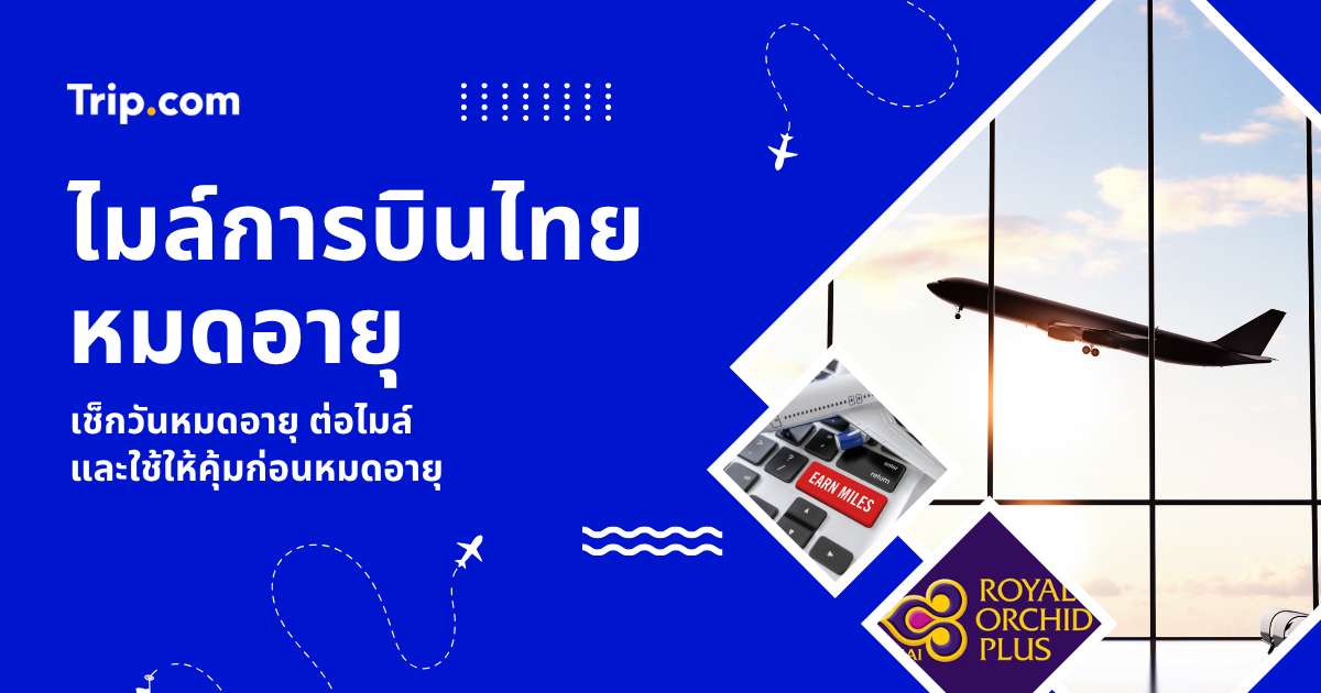 ไมล์การบินไทยหมดอายุ 2569 วิธีเช็กวันหมดอายุ ต่ออายุ & แลกอะไรคุ้มสุด | Trip.com