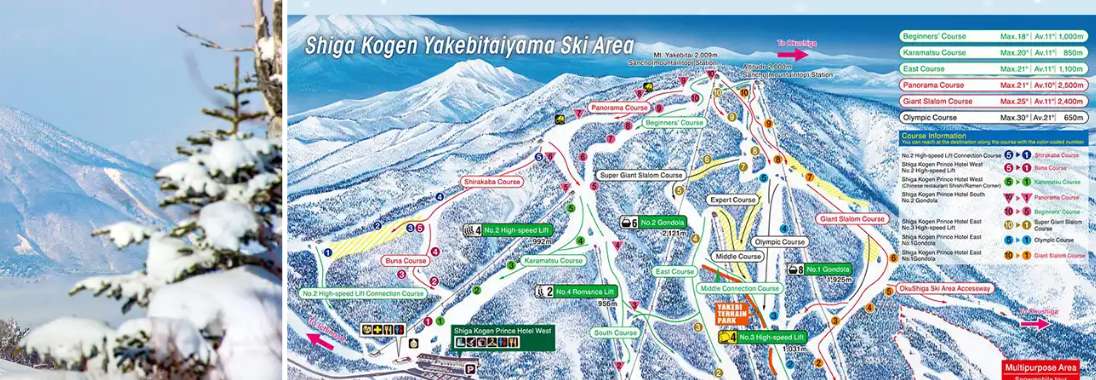 Shiga Kogen: One of Japan's Largest Ski Areas
