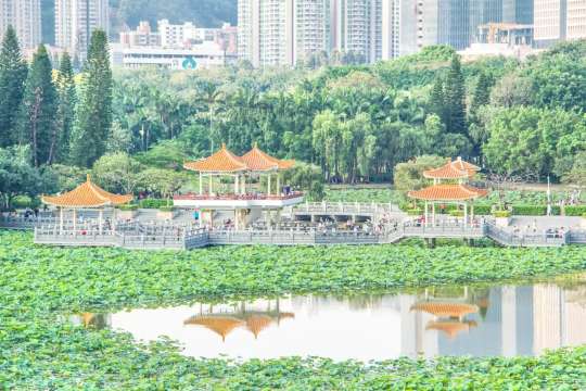 洪湖公園