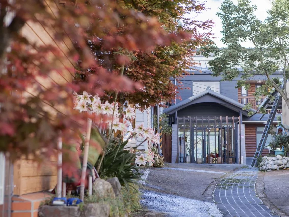 拉拉山住宿｜桃園雲山房民宿